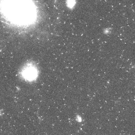 HST observation: A crowded sky. Original image from the supplied project.